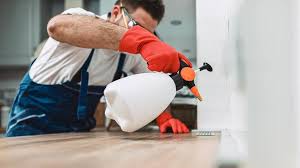 Best Pest Exclusion Services  in Dravosburg, PA